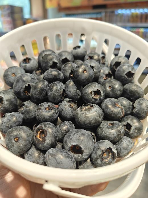 花香蓝莓桶 一桶约450克 香味浓郁 硬度好，口感超甜！大口过瘾吃蓝莓~ 商品图2