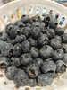 花香蓝莓桶 一桶约450克 香味浓郁 硬度好，口感超甜！大口过瘾吃蓝莓~ 商品缩略图4