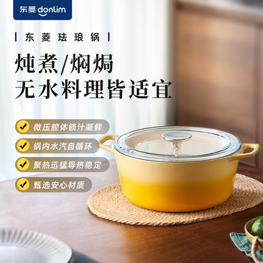 【成品配件】东菱珐琅锅P-MF040 商品图0