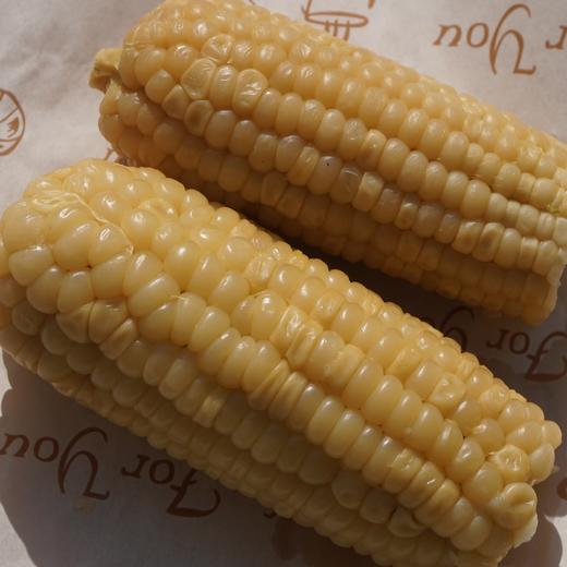 010甜糯玉米 生态生长玉米长短不一 大小不一 我们截取了最饱满的玉米段 西双版纳高山种植  甜糯易咀嚼 老人小孩放心吃 商品图3