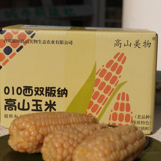 010甜糯玉米 生态生长玉米长短不一 大小不一 我们截取了最饱满的玉米段 西双版纳高山种植  甜糯易咀嚼 老人小孩放心吃 商品图5