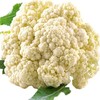 【SF】新鲜菜花 现摘菜花 商品缩略图0