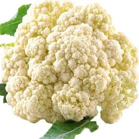 【SF】新鲜菜花 现摘菜花