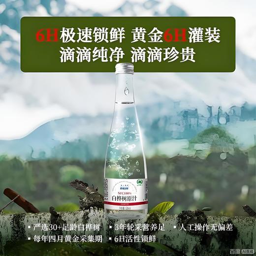 泉阳泉长白山320ml*6瓶开盖即饮0脂肪植物饮料天然白桦树汁100%原液 商品图1