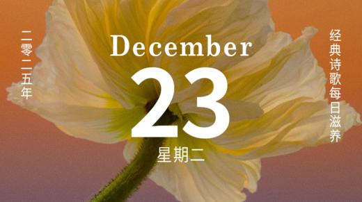 “我们的灵魂是健康的。” 商品图0