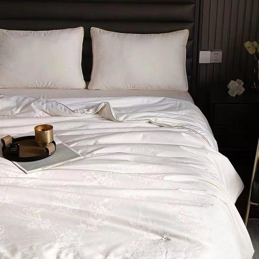 【春上新】10楼 恐龙 雅悦全棉提花桑蚕丝被-春秋/冬被 吊牌价3880-6880元 活动价999-1999元 商品图2