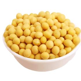 【SLSY】农家自种黄豆 颗粒饱满圆润 无杂质无坏粒 煮粥煲汤打豆浆皆可