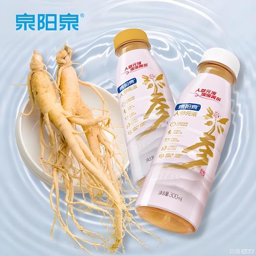 【春季半价】泉阳泉 300ml*12瓶整箱0.5克人参元液0脂0添加蔗糖0色素长白山人参元液 商品图5