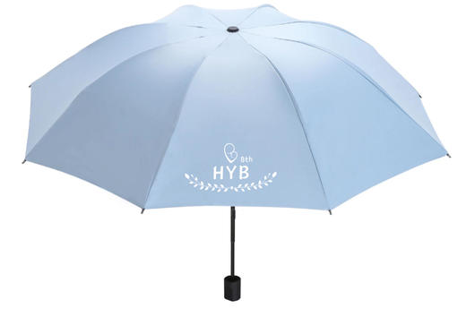 赠品勿拍：雨伞 商品图0