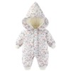 宝宝冬款加厚保暖连体衣新生儿羊羔绒爬服幼儿外出服婴幼儿衣服 商品缩略图4