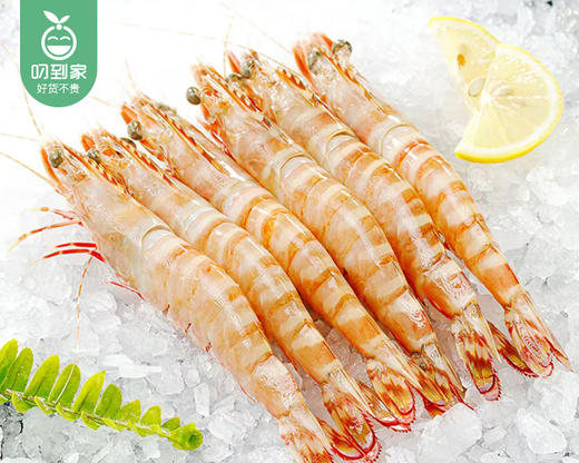 本港红爪斑节虾（冰鲜）/1份（约200g） 商品图2