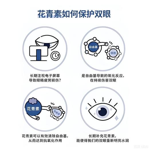 【春季保护视力半价】泉阳泉长白山蓝莓汁饮料420ml*3瓶无菌0防腐含剂花青素 420ml*3 商品图9