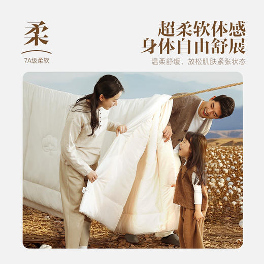 水星家纺纯棉被芯 商品图0