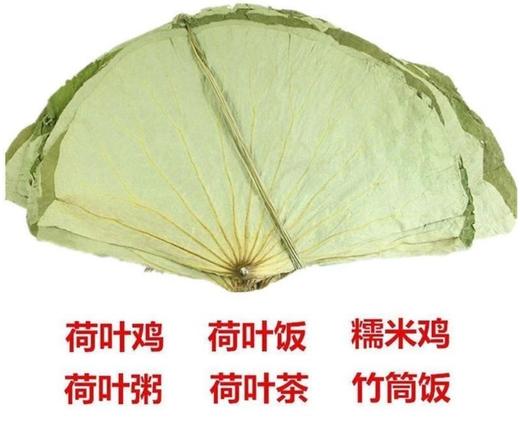 【SLSY】热销干荷叶中药材  鲜摘晾晒 干度适中 商品图0