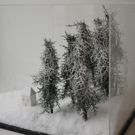 《北国》雪松30cm×30cm大号亚克力礼盒 商品图2