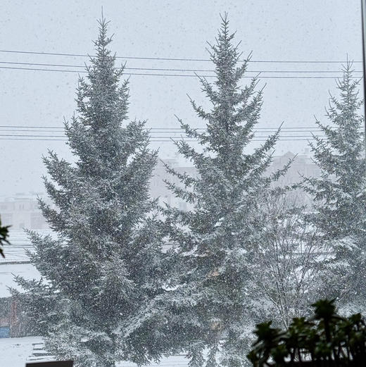 《北国》雪松30cm×30cm大号亚克力礼盒 商品图6