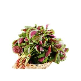 【超市】百盛鲜蔬达 红小米菜 约300g