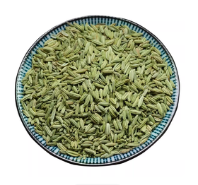 【YMHR】干小茴香炒菜炖肉调味