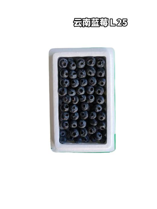 丹东蓝莓L25-22+   毛重7两 商品图0