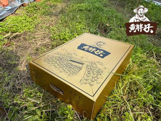 【黄胖子】黄金维纳斯苹果   脆甜多汁，风味十足！   ✅多项农残0检出，宝宝也可放心吃的好苹果 商品图7