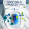 巨奇-洁厕灵600ml 商品缩略图2