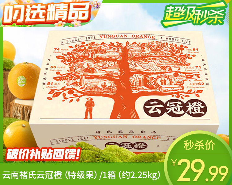 云南褚氏云冠橙（特级果）/1箱（约2.25kg）