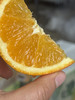 财橙·脐橙的天花板来了 果肉细腻多汁 橙香四溢 原装7斤 商品缩略图3