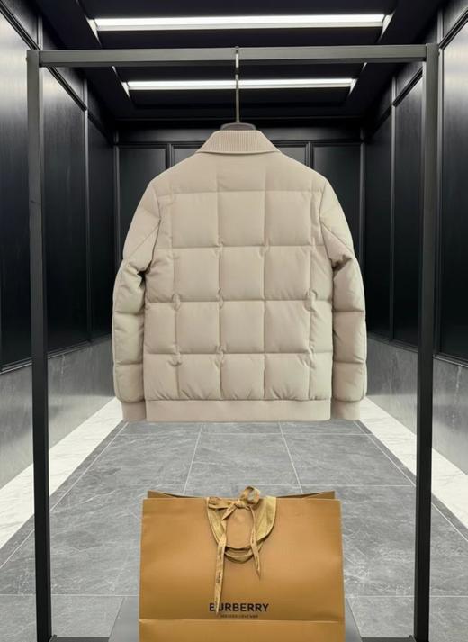 D122155轻盈保暖金标战马蓬松情侣款夹克羽绒服 商品图5