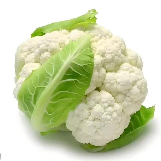 【SF】新鲜菜花 现摘菜花 商品图2