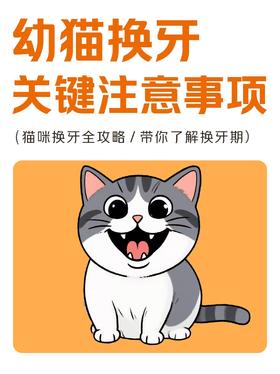  解锁幼猫换牙期护理，新手铲屎官看这篇就够了