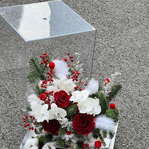 《踏雪寻梅》亚克力透视花盒 商品图1