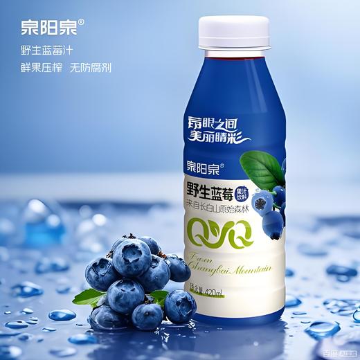 【春季保护视力半价】泉阳泉长白山蓝莓汁饮料420ml*3瓶无菌0防腐含剂花青素 420ml*3 商品图8