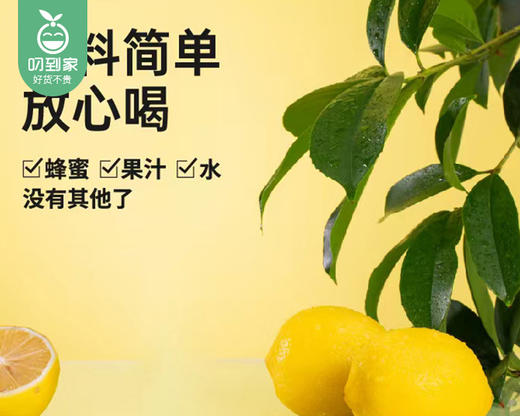 蜂解柠檬蜂蜜水/1箱（360ml*6瓶）生产日期：25年8月补单专用 商品图5