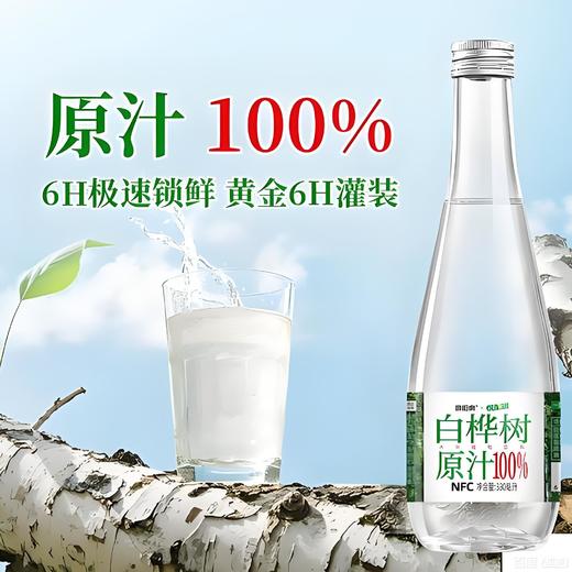 泉阳泉长白山320ml*6瓶开盖即饮0脂肪植物饮料天然白桦树汁100%原液 商品图7