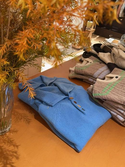 二店y 【JS3699167 】显白蓝+设计感前后两穿~ cos风冬季牛角扣翻领小众羊毛毛衣 商品图13