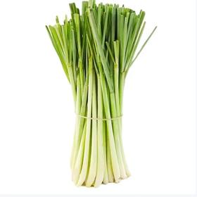 【超市】良道 有机柠檬草80g （冬阴功汤原料）