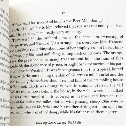 半轮黄日 英文原版小说 Half of a Yellow Sun 新版 爱与战争 BBC推荐读物 英文版进原版英语书籍 商品图3