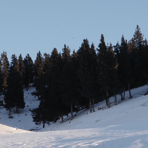 《北国》雪松30cm×30cm大号亚克力礼盒 商品图5