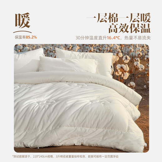 水星家纺纯棉被芯 商品图6