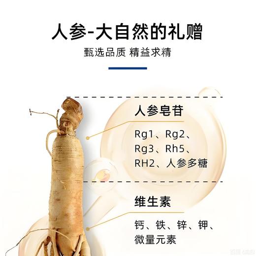 【春季半价】泉阳泉 300ml*12瓶整箱0.5克人参元液0脂0添加蔗糖0色素长白山人参元液 商品图6