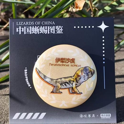 中国蜥蜴主题徽章 爬宠爬虫文创 卡通周边 海峡书局 顽主驿【官方正版 48小时发货】 商品图4