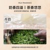 马来西亚MELAKA FAMOSA古城门 · 4合1速溶拉茶 12条*40g｜品牌直发 商品缩略图4
