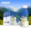 【春季保护视力半价】泉阳泉长白山蓝莓汁饮料420ml*3瓶无菌0防腐含剂花青素 420ml*3 商品缩略图5