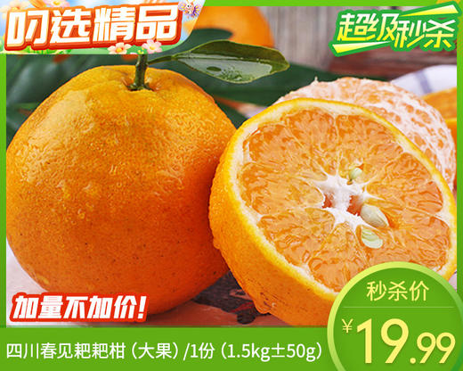 四川春见耙耙柑（大果）/1份（1.5kg±50g） 商品图0