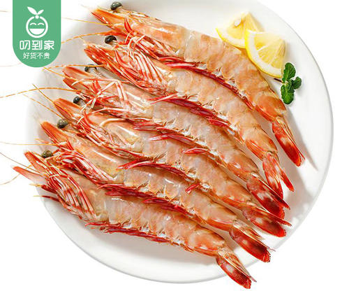 本港红爪斑节虾（冰鲜）/1份（约200g） 商品图3