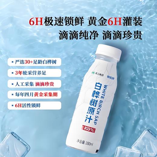 【春季半价】泉阳泉长白山300ml*3瓶开盖即饮0脂肪植物饮料天然白桦树汁100%原液 商品图2