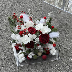 《踏雪寻梅》亚克力透视花盒