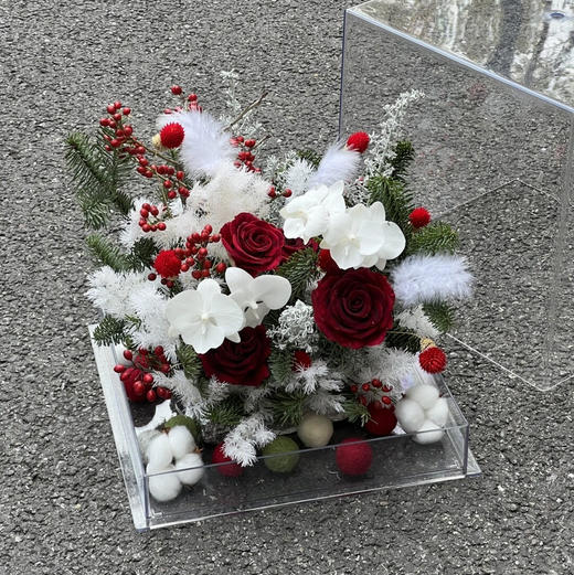 《踏雪寻梅》亚克力透视花盒 商品图0