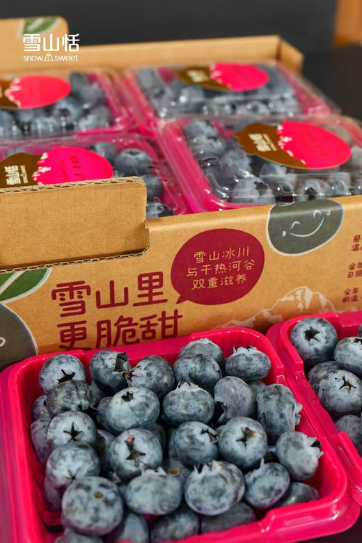 雪山恬蓝莓，当季好蓝莓🫐很甜的口感很大的颗粒，果粉足，🍃营养价值高💯护眼神器 商品图2