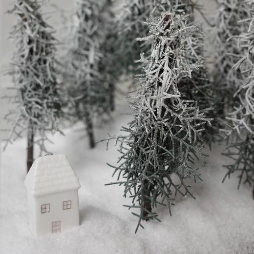 《北国》雪松30cm×30cm大号亚克力礼盒 商品图3